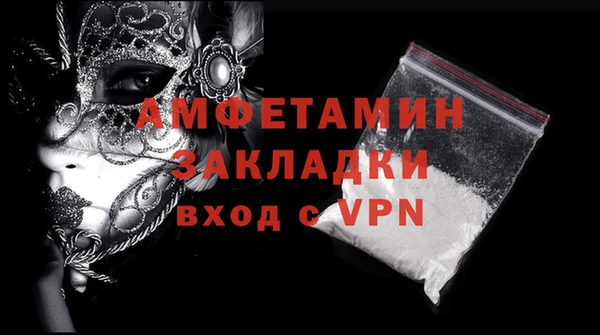 индика Ельня