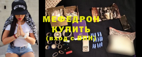 индика Ельня