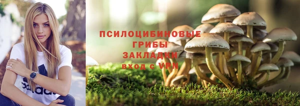 PSILOCYBIN Дмитровск