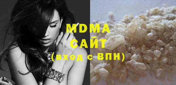индика Ельня