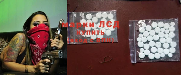 индика Ельня