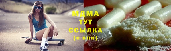 индика Ельня