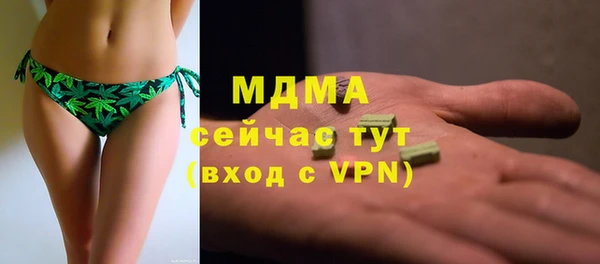 индика Ельня