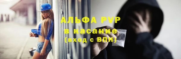 индика Ельня