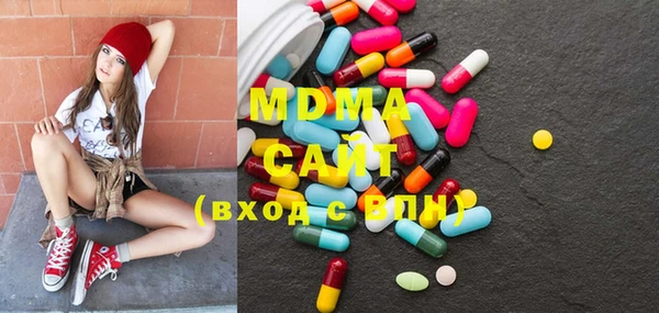 индика Ельня
