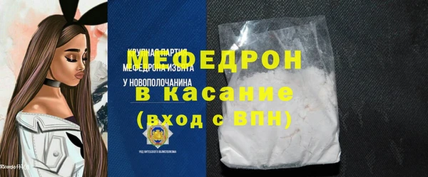 индика Ельня