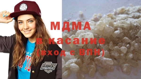 индика Ельня