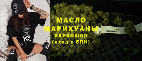 индика Ельня