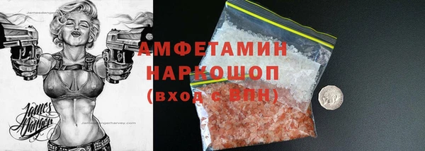 индика Ельня