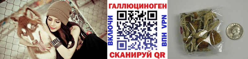 Купить закладки  Канск  Галлюциногенные грибы Psilocybine cubensis 